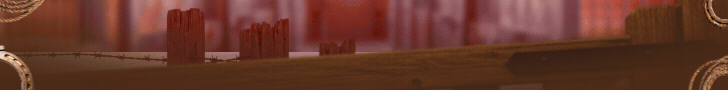 banner pmfs maio