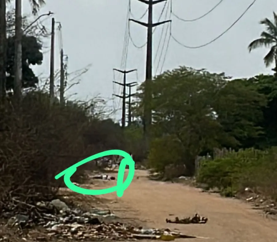 Jovem é executado após ser forçado a desbloquear celularno bairro Asa Branca 