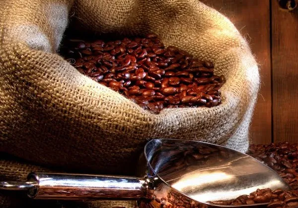 Bahia deve registrar crescimento de 11,3% na produção de café em 2025