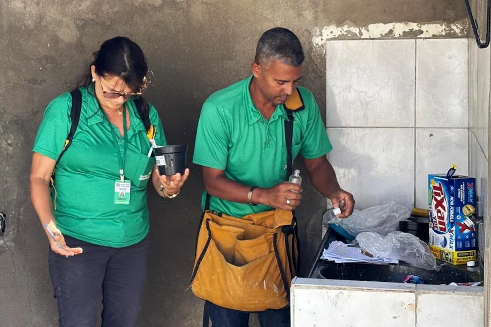 Prefeitura de Feira inicia instalação de ovitrampas para monitorar o Aedes aegypti