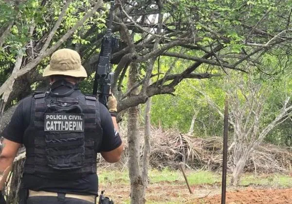 Terreno usado para plantio de maconha é localizado em Uauá