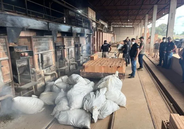 Operação policial resulta em 12 prisões e 2 toneladas de drogas incineradas