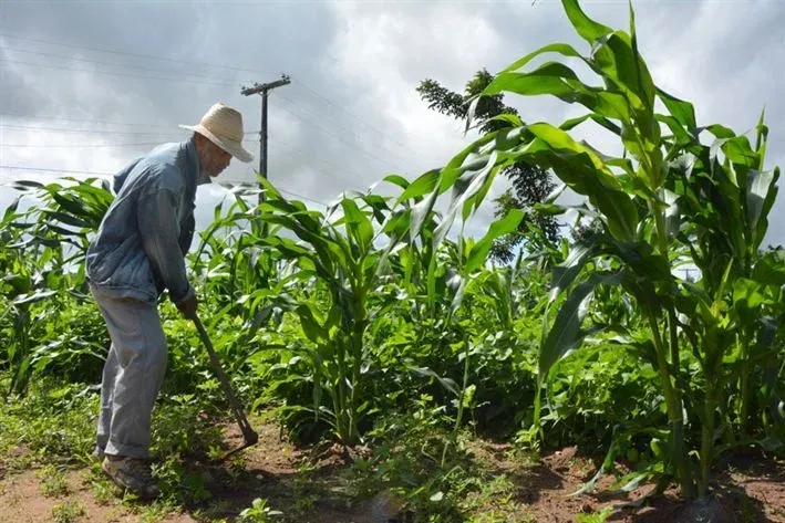Bahia receberá R$ 299 milhões para fortalecer a agricultura familiar no semiárido