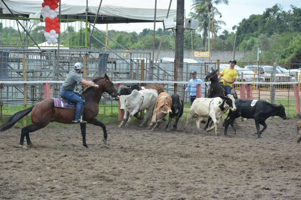 Campeonato de Team Penning é uma das atrações da Expofeira 2025
