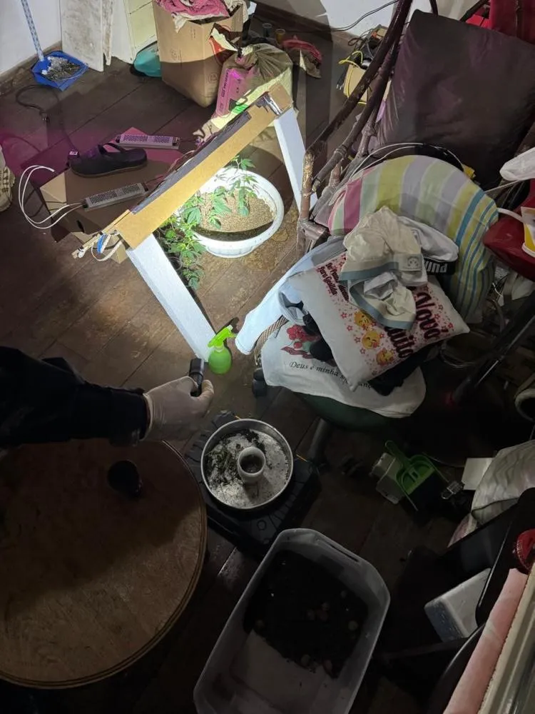 Feira de Santana é alvo da 2ª fase da Operação Convictus contra tráfico e lavagem de dinheiro