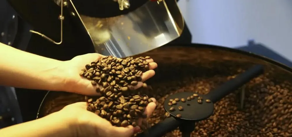 Com o tarifaço, produtores podem estocar café para vender apenas em 2026