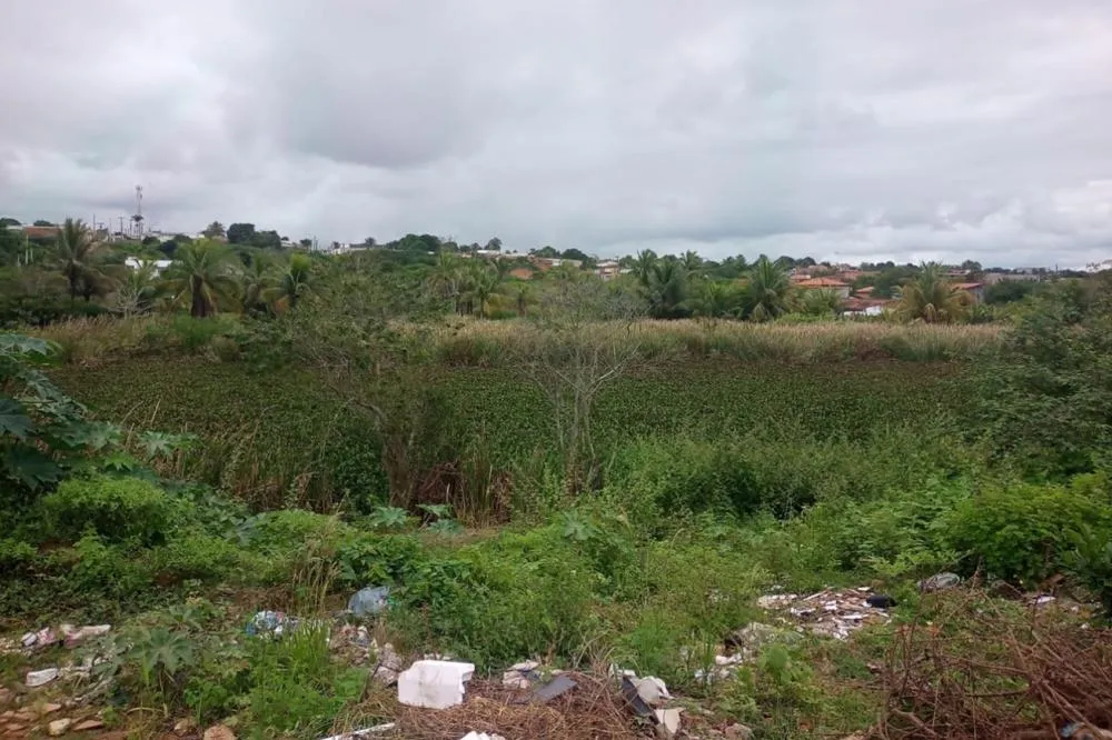 Secretaria de Meio Ambiente intensifica visitas para avaliar situação das lagoas de Feira