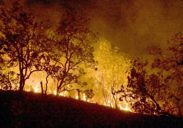 PF já abriu 60 inquéritos para investigar incêndios criminosos em 2025