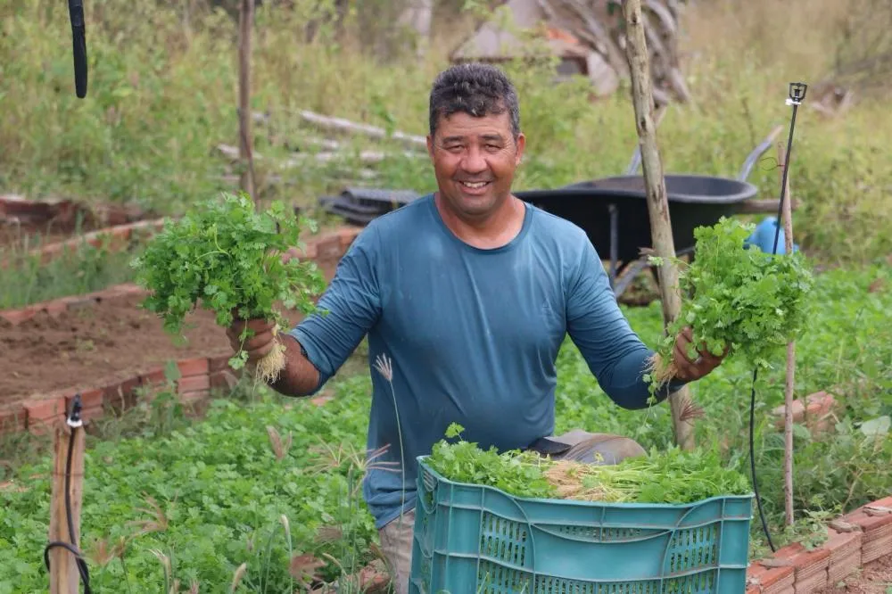 Do campo à mesa: por que reduzir agrotóxicos é uma questão de saúde pública