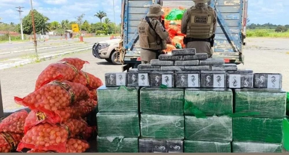 PRE apreende mais de 500 kg de cocaína escondidos em carga de cebolas na Bahia