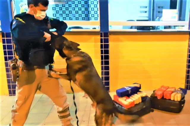 PRF apreende mais de 23 quilos de maconha dentro de ônibus em Feira de Santana