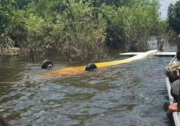 FAB intercepta aeronave vinda do Peru e piloto é preso no Amazonas