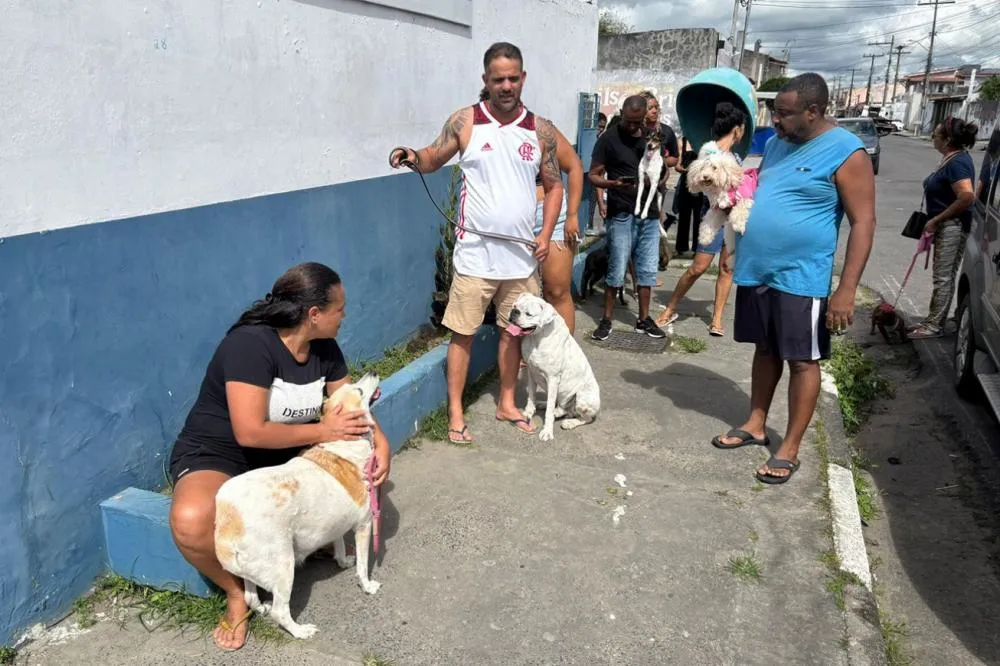 Vacinação antirrábica acontece neste sábado (27) em oito bairros de Feira de Santana