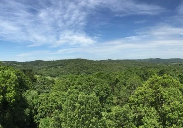 Foto: Jean Paul Metzger/USP