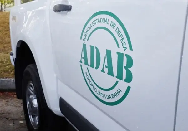 Concurso com 200 vagas e salários de até R$ 7,4 mil é lançado pelo Governo da Bahia