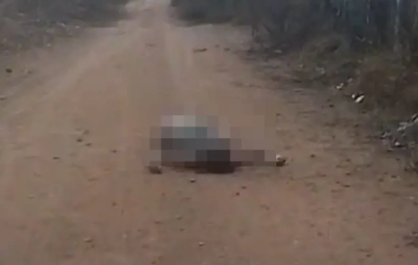 Mulher é morta a pedradas em Feira de Santana; companheiro é preso