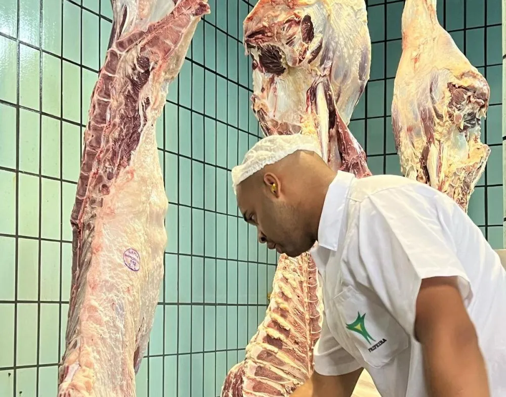 Arroba do boi gordo se mantém em R$ 350 e acumula alta de quase 13% em 2026