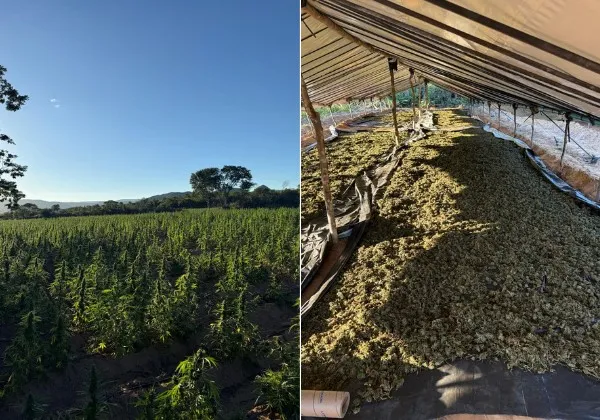 Fotos: Divulgação/SSP