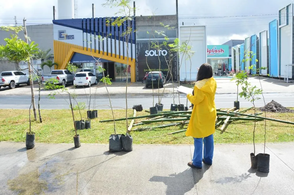 Prefeitura inicia plantio de 300 mudas na Noide Cerqueira e lança projeto Feira Verde