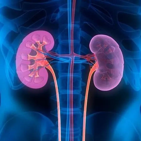 Baixa ingestão de água no inverno pode aumentar os riscos da doença, alerta cirurgião urologista
