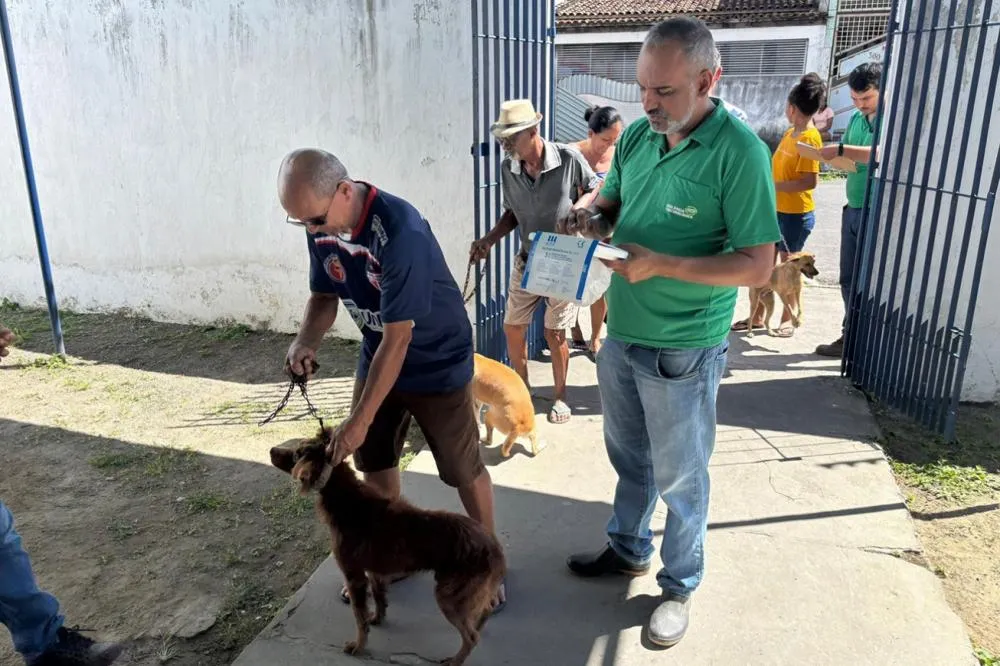 Feira de Santana já imunizou mais de 32 mil cães e gatos contra a raiva