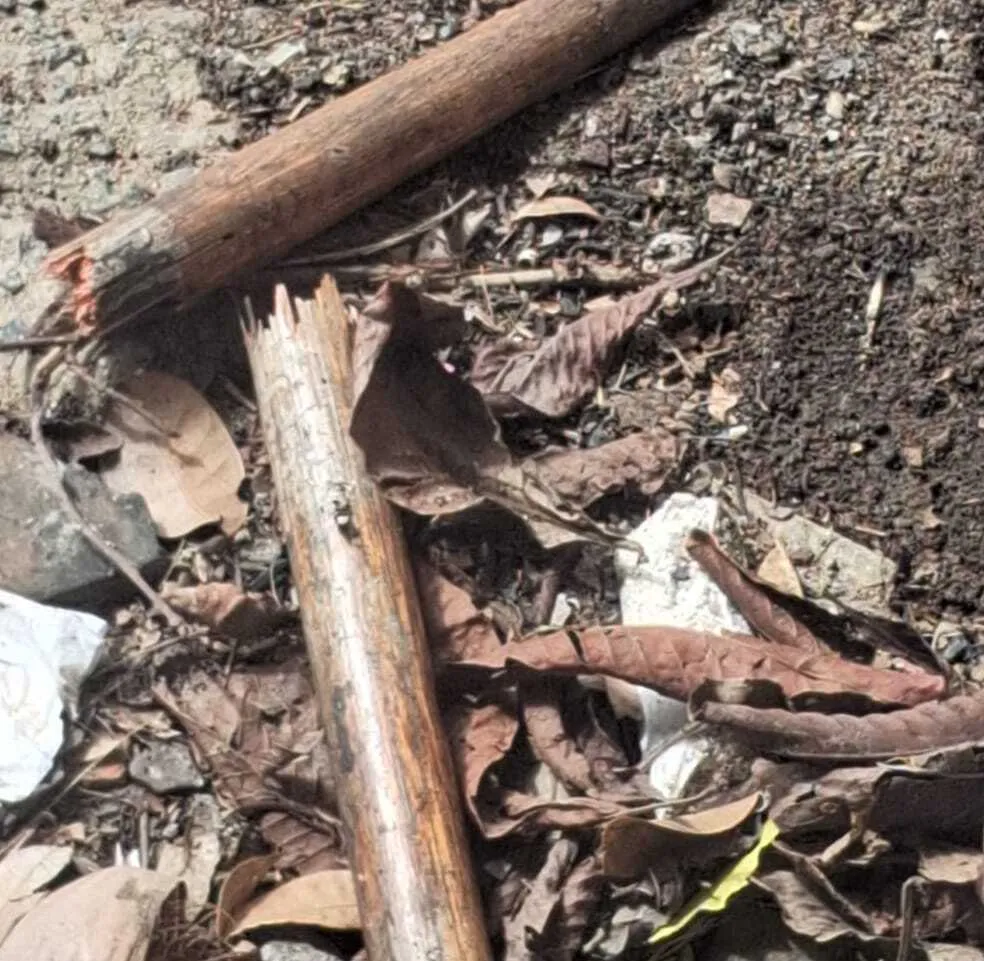 Homem é retirado de casa e assassinado na zona de mata em Serra Preta
