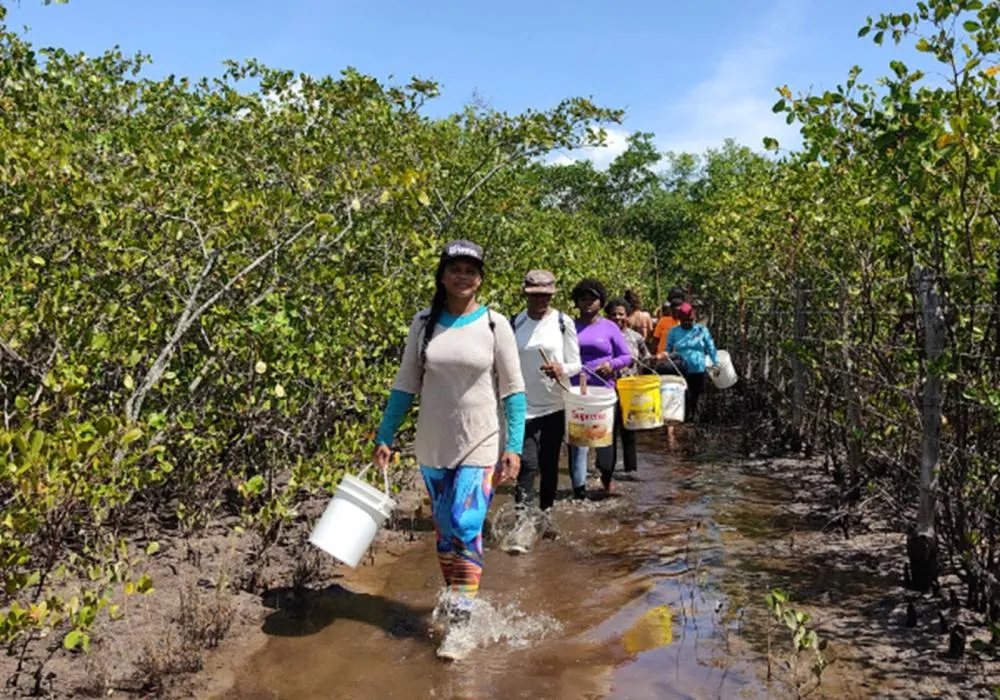 Projeto destina R$ 1,7 milhão para capacitar 180 mulheres da pesca artesanal em Santo Amaro