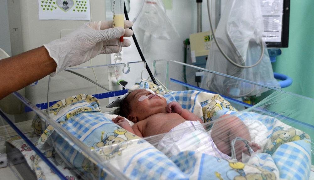 Uso especial do primeiro leite materno alimenta prematuros e reduz riscos à saúde