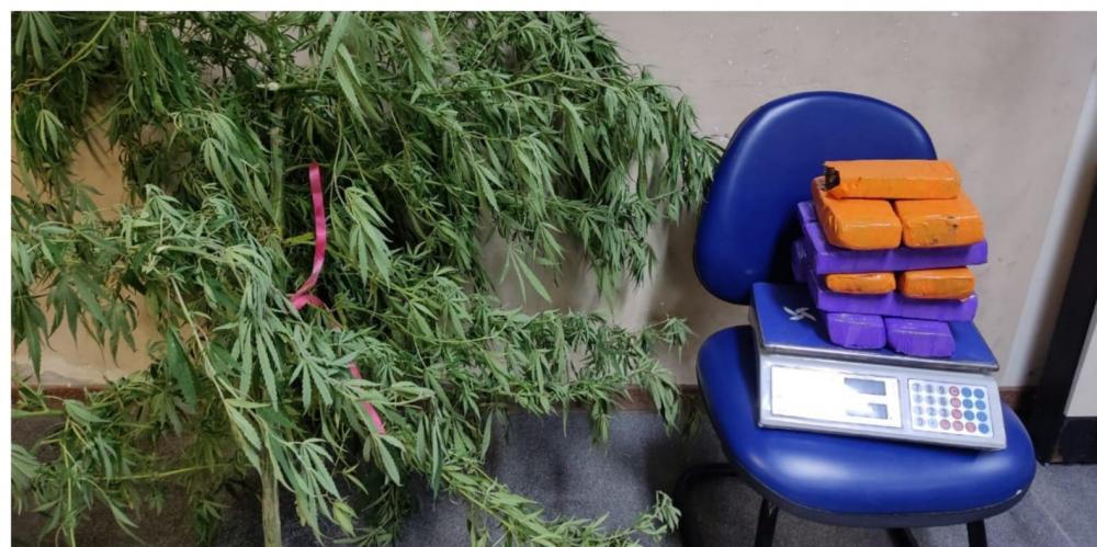 Operação trânsito seguro da PM frustra movimentação de tráfico de drogas em Feira