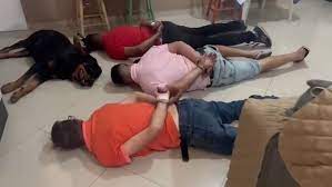 Cachorro se rende durante prisão de traficantes