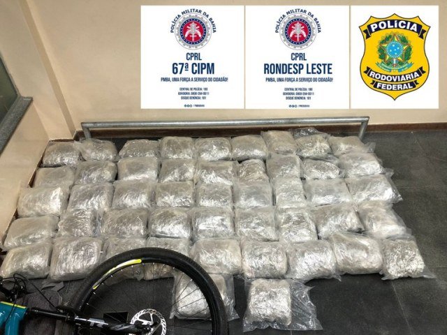 Operação conjunta PM e PRF apreende 53 quilos de maconha na Br 116