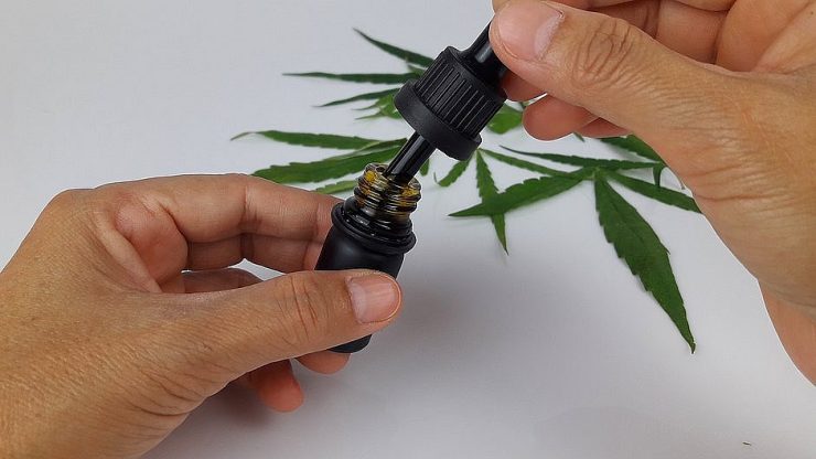 Prefeito sanciona lei que libera cannabis medicinal no SUS em Salvador