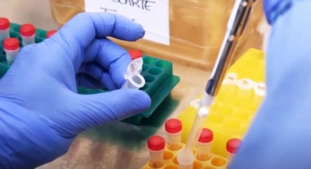 Feira de Santana registra mais 142 casos de covid-19 e mais 6 mortes