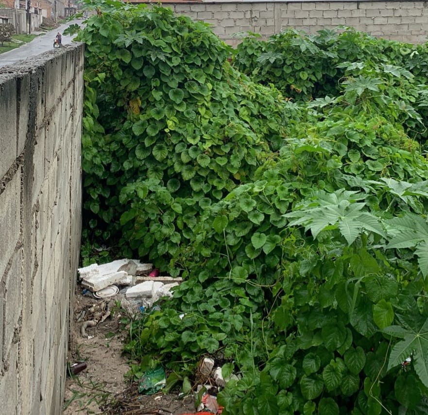 Feto é encontrado morto em Feira de Santana