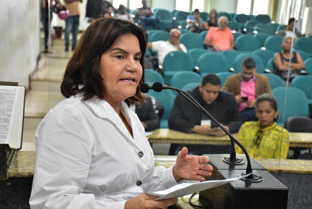 Projeto de lei propõe melhorias na sinalização em viadutos de Feira de Santana