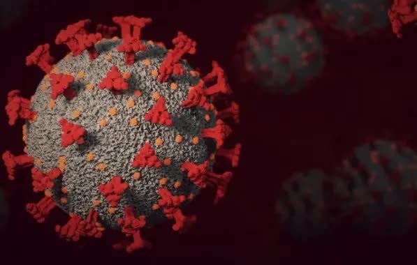 Idosa de Camaçari morre após ser infectada pela variante Arcturus da Covid-19