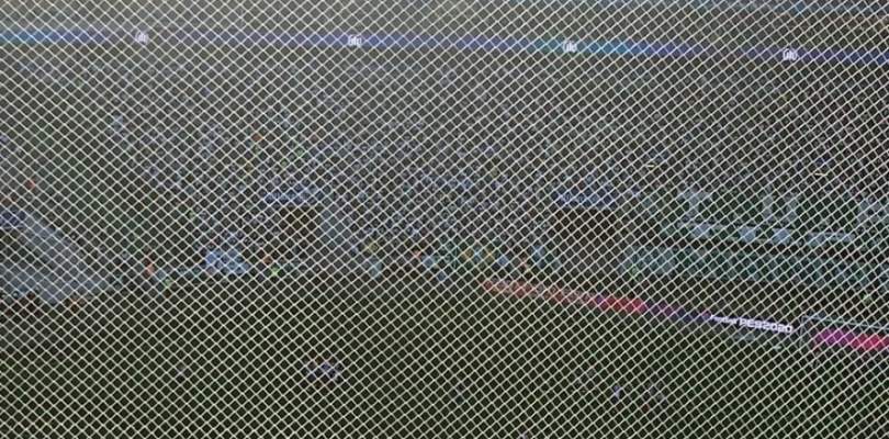 Palmeiras terá que indenizar torcedores do Bahia por colocação de tela no Allianz Parque