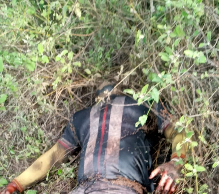 Corpo encontrado em matagal no Tomba