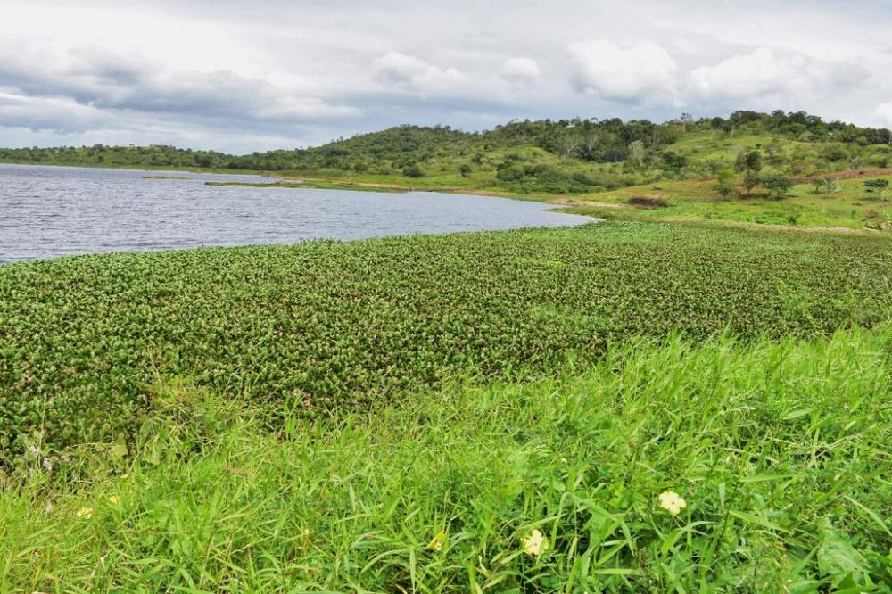Inema e Embasa devem se unir em torno da despoluição do Rio Jacuípe 