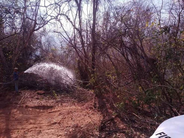 Regiões da Bahia registram temperaturas de quase 40°C
