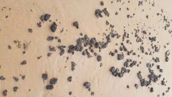 Manchas de óleo são encontradas em praias de Salvador