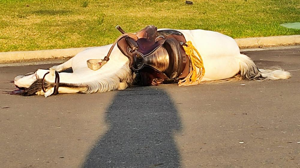 Delegado Rodolfo Faro avalia onda de assassinatos e promete ações firmes em Feira de Santana