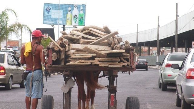 Secretário de agricultura de Feira de Santana, Pedro Américo, fala sobre projeto de retirada de carroças da cidade