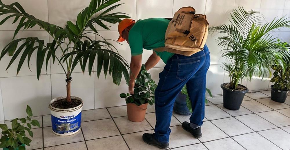 SMS alerta que combate ao aedes aegypti deve ser redobrado no verão