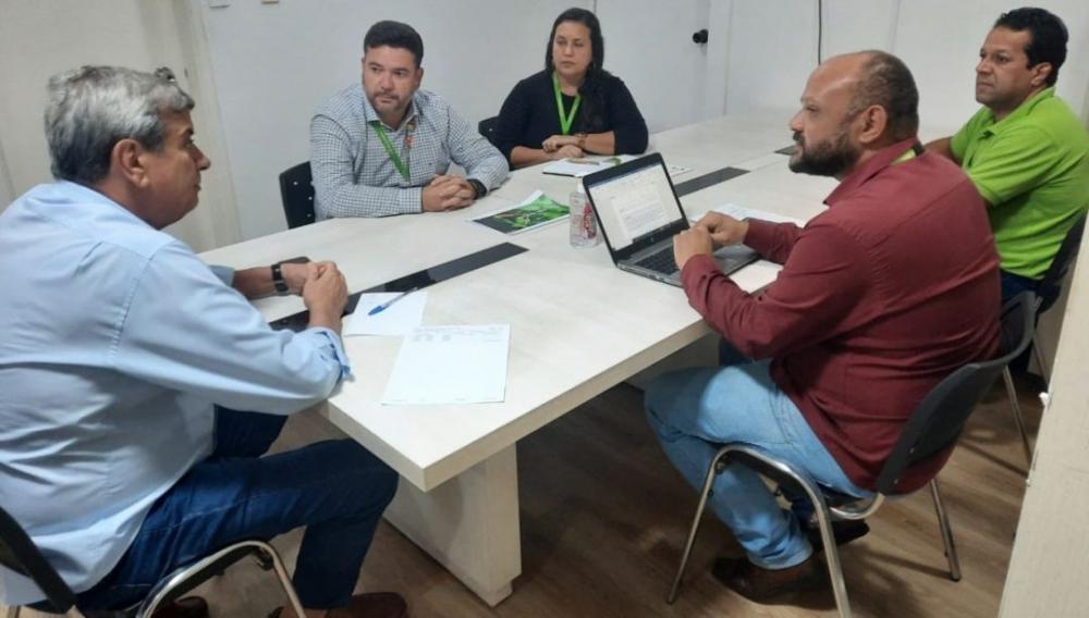 Coelba e Prefeitura de Feira firmam parceria para poda de 500 árvores