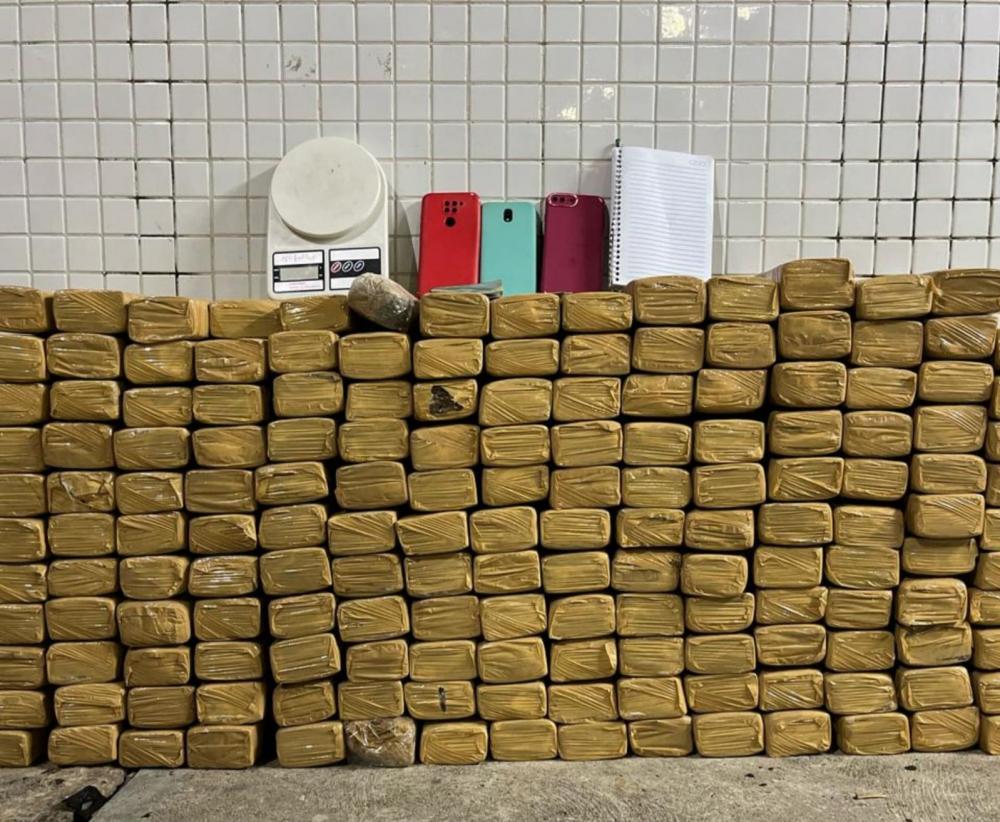 Policia Militar apreende 163 quilos de maconha em Salvador