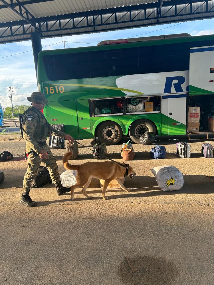 Mulher é presa com drogas na Br 116 Sul
