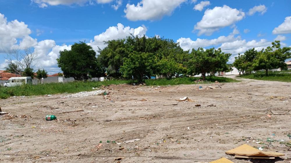 Aumento exponencial da Dengue em Feira de Santana gera preocupações na saúde pública