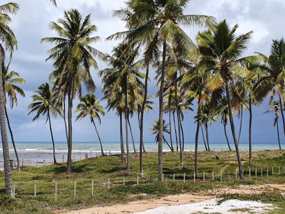 6 em cada 10 pessoas na Bahia moram a 150km do mar, no litoral