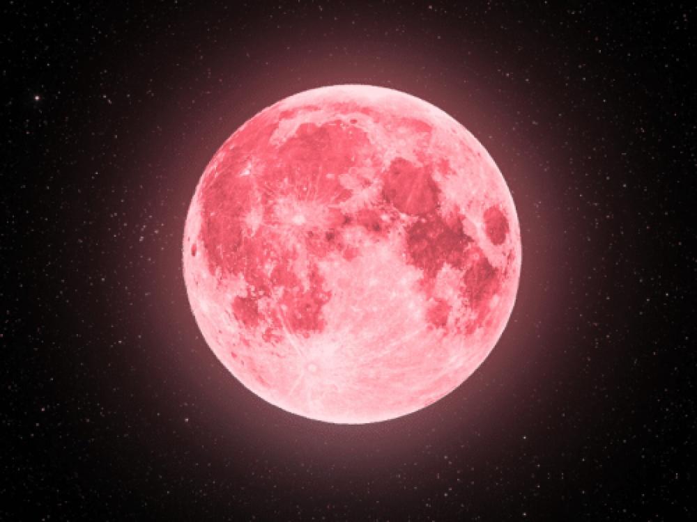 'Lua Cheia Rosa' poderá ser vista nesta terça-feira no Brasil